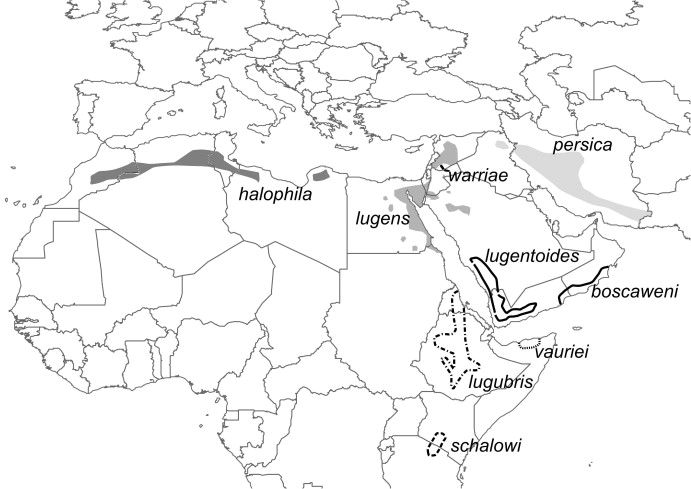 Distribution of the different taxa of the Mourning Wheatear (Oenanthe lugens) complex Distribution of the different taxa of the Mourning Wheatear (Oenanthe lugens) complex