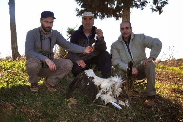 From left to right: Mohamed Amezian, Ahmed El Ketami (who saved the transmitter) & Rachid El Khamlichi