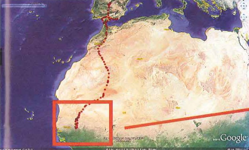 Movement of the Bonelli’s Eagle ‘Zahara’ (Iglesias & Álvarez 2016, Quercus)