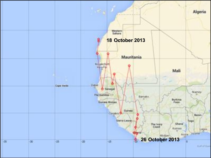 Plain Swift's autumn migration: Position of ‘H001’ between 18 October and 26 October 2013. Plain Swift's autumn migration: Position of ‘H001’ between 18 October and 26 October 2013.