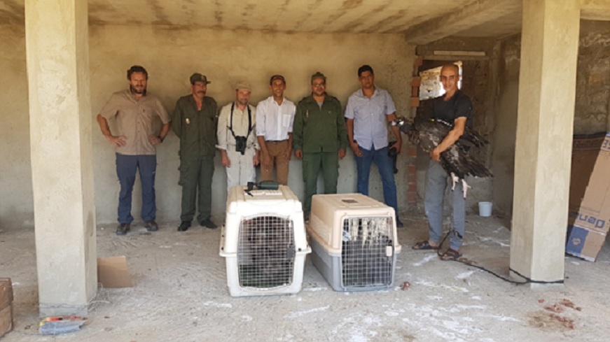 The vulture release team.