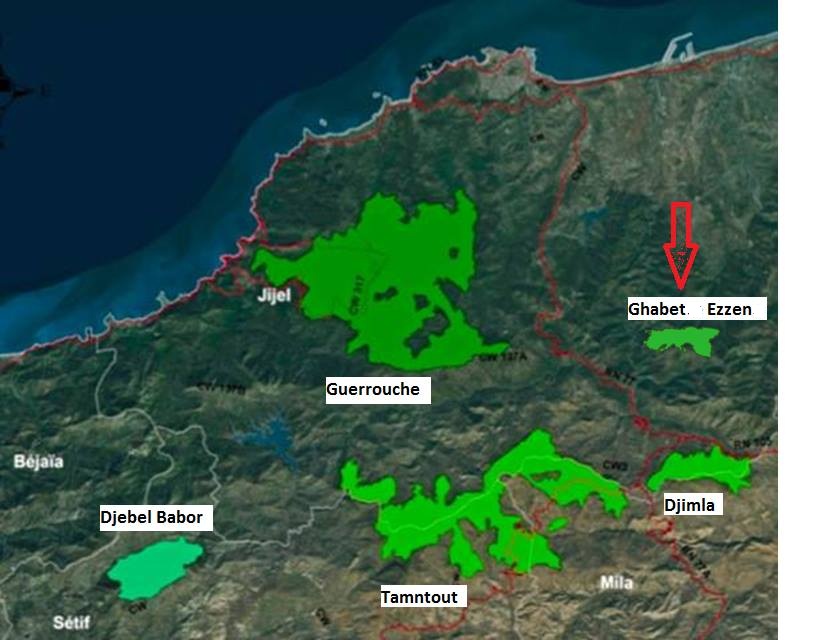 Distribution range of the Algerian Nuthatch (Sitta ledanti). Distribution range of the Algerian Nuthatch, the newly discovered site, Ghabbet Ezzen, shown by the red arrow is located at the edge of the four known sites (Riadh Moulaï).