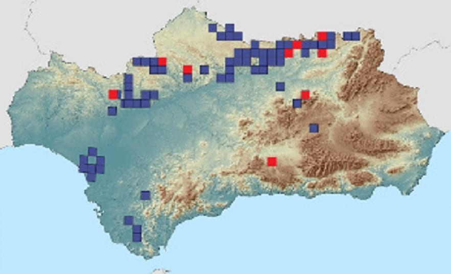 Spanish Imperial Eagle range in Andalusia, southern Spain. Red grids colonized in 2018. (Junta de Andalucía).