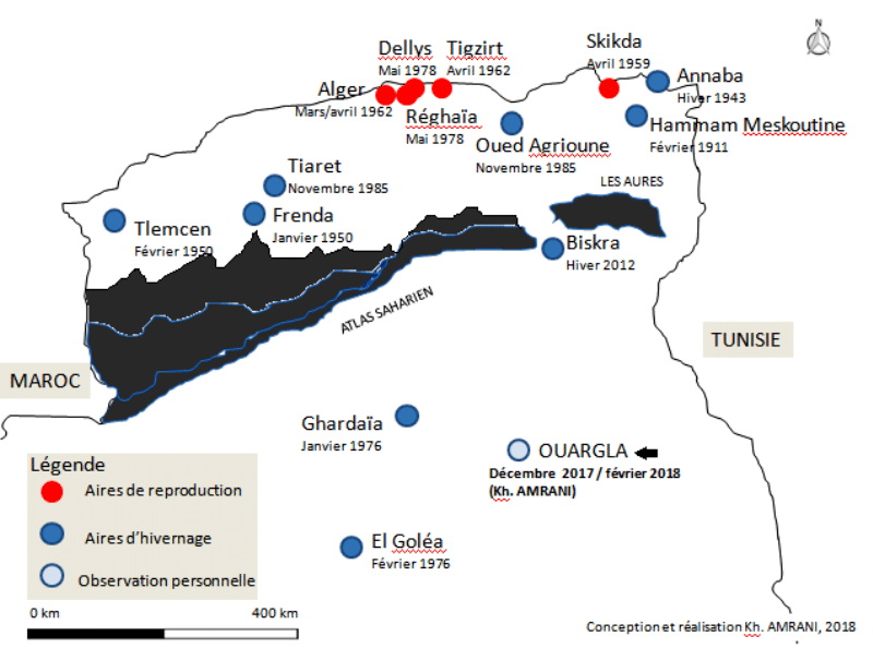 Répartition spatio-temporelle du Tarin des aulnes en Algérie / Spatio-temporal distribution of Eurasian Siskin in Algeria.