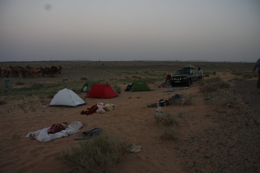 One of our Sahara desert camp in early morning, between Aousserd and Mauritania (Mohamed Amezian).