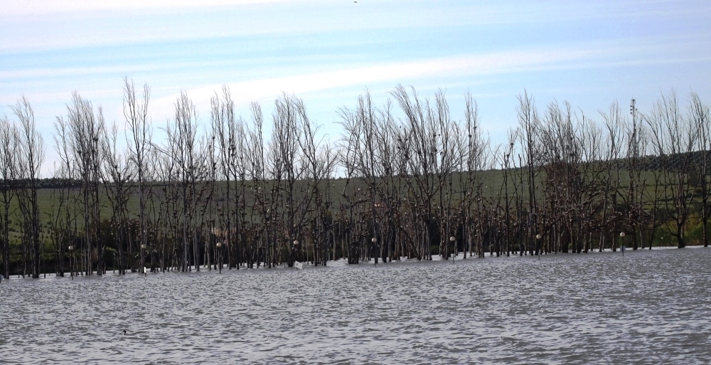 General view of Dayet Erroumi heronry, Zemmour region, Morocco
