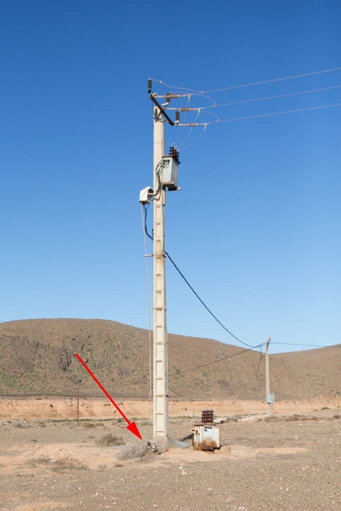 Electrocuted Bonelli’s Eagle (Aquila fasciata), Guelmim region, Morocco, 7 November 2015 (Ali Irizi). Forth bird.
