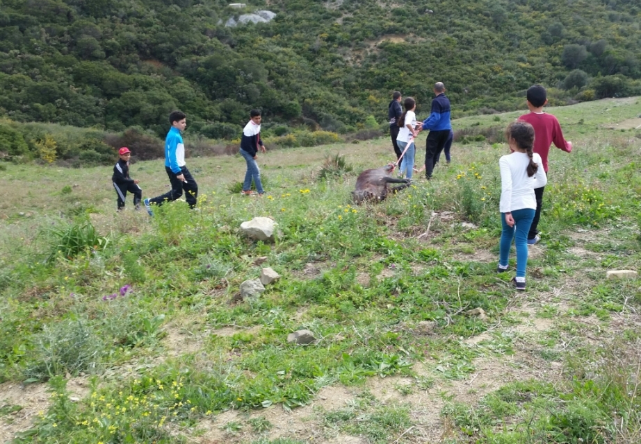 No better method than giving children a hands-on experience to understand the whole story. / Pas de meilleure méthode que de donner aux enfants une expérience pratique pour comprendre toute l'histoire.