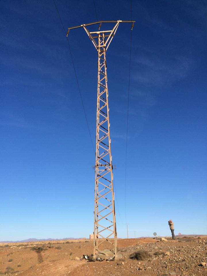 Atlas Long-legged Buzzards at the bottom of an electricity pylon, Guelmim region, 23 November 2017 (Karim Laïdi)
