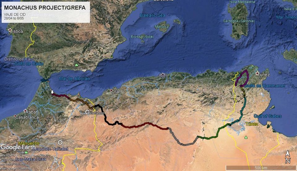 Movements of the Cinereous Vulture ‘Cid’ across Northwest Africa from Tunisia, Algeria to Morocco, from 8 April till 6 May.