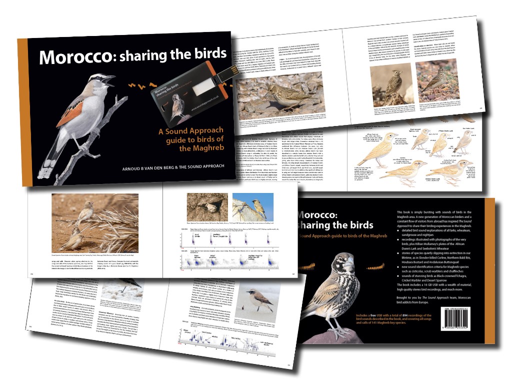 Covers and a look inside at some samples pages.